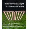 Buy cheap Solar LED Grow Lights UV 900w LED Grow Light Full Spectrum Essential Lighting from wholesalers