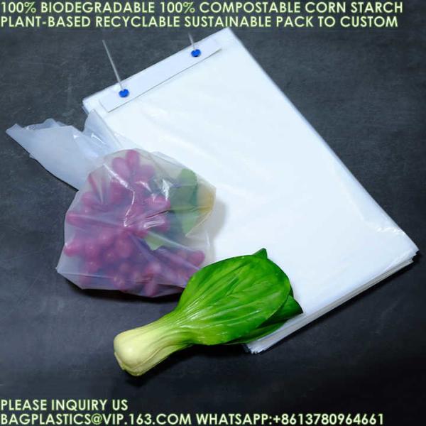 Eco-Friendly Recyclable Bag Corn Starch Compostable Beverage Bag 100% Biodegrada