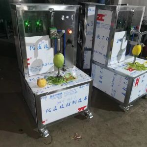 China Machines to remove orange peel / mango pulp making machine on sale