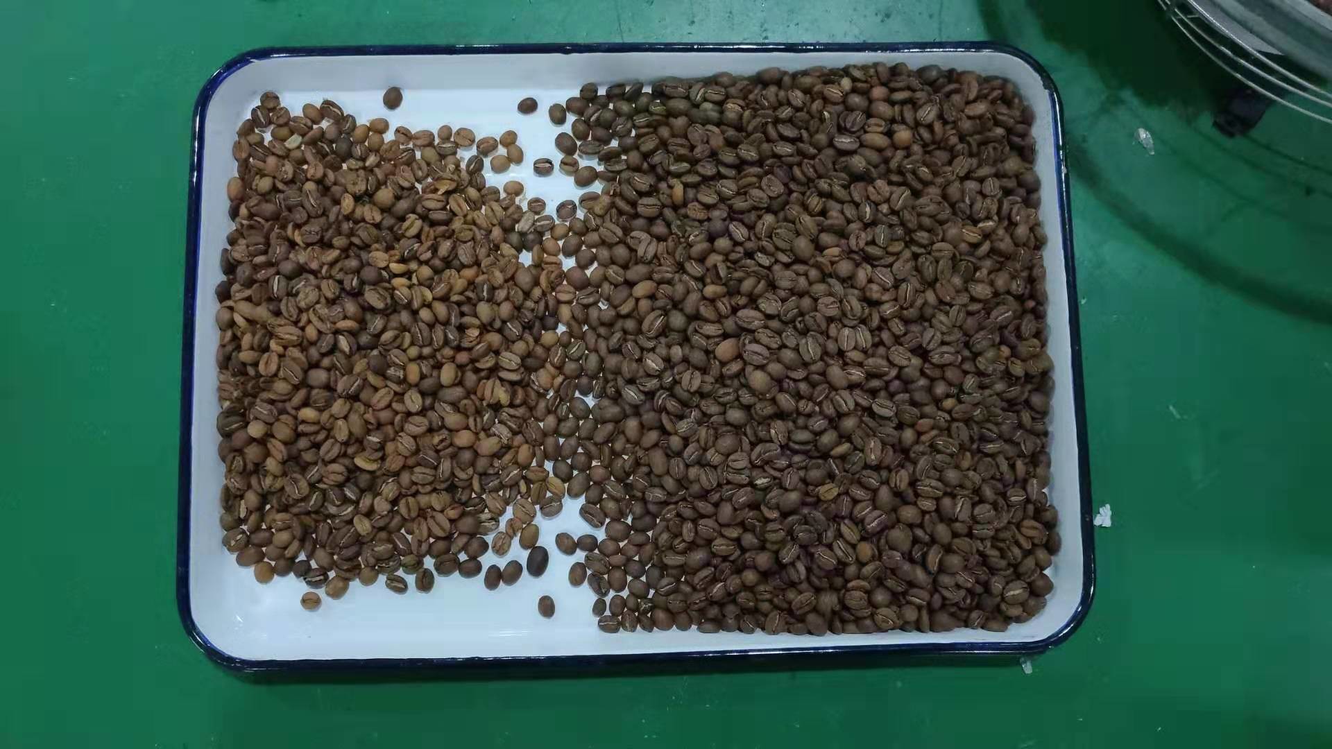 240V 50Hz Roasted Coffee Bean Sorting Machine high speed processing Chip
