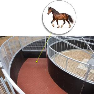China Dog Shaped Rubber Horse Walker Mats For 36ft Diameter X 6ft 6in Walkway on sale