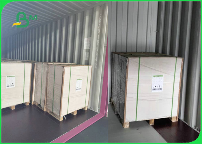 35gsm + 15g PE Coated MG Kraft Paper For Wrapping French Baguette Greaseproof
