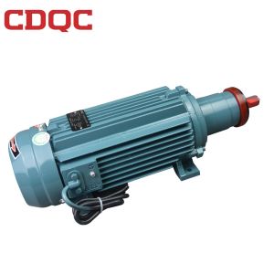 220v 380v Asynchronous Induction Motor Water Proof Sealing Structure
