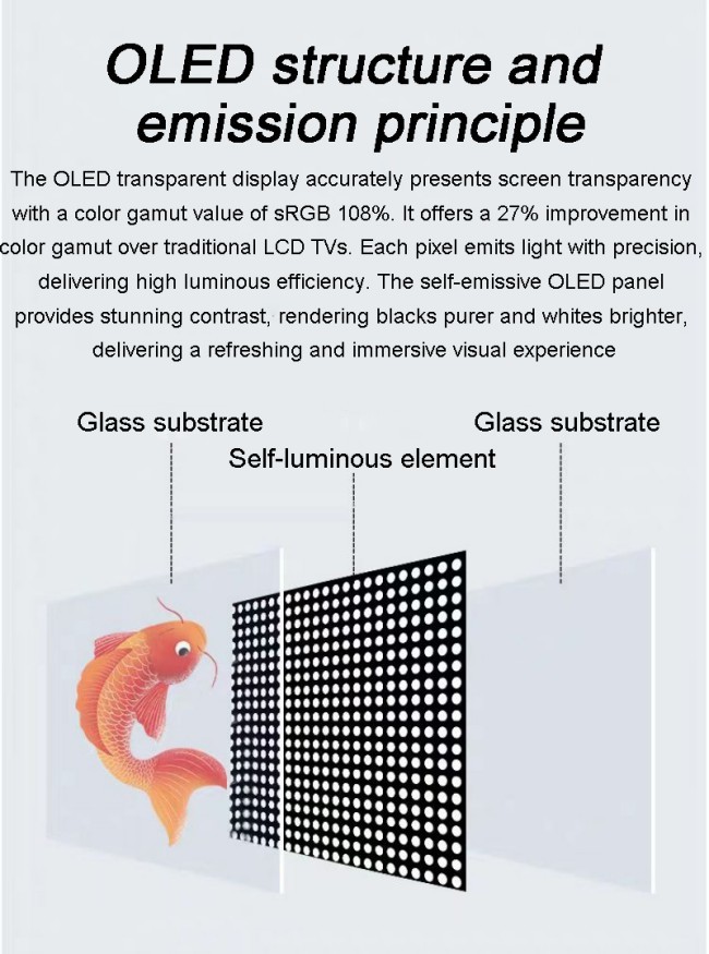 Floorstanding Transparent Glass OLED Screen Display Digital Signage Special Design Screen Factory