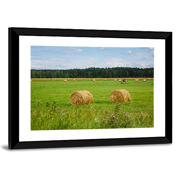 Aqueous Printing 100% Cotton Canvas For Large Format Printing