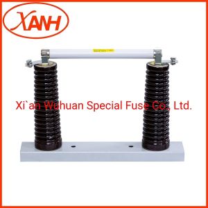China Customization Current Limiting Fuse Sdldj Xrnt1 With High Breaking Capacity on sale