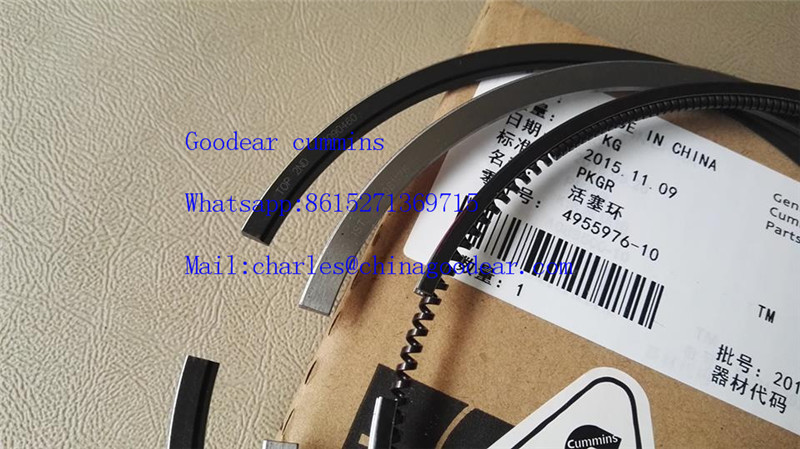 Chongqing K19 diesel engine piston ring 4955976,2881745