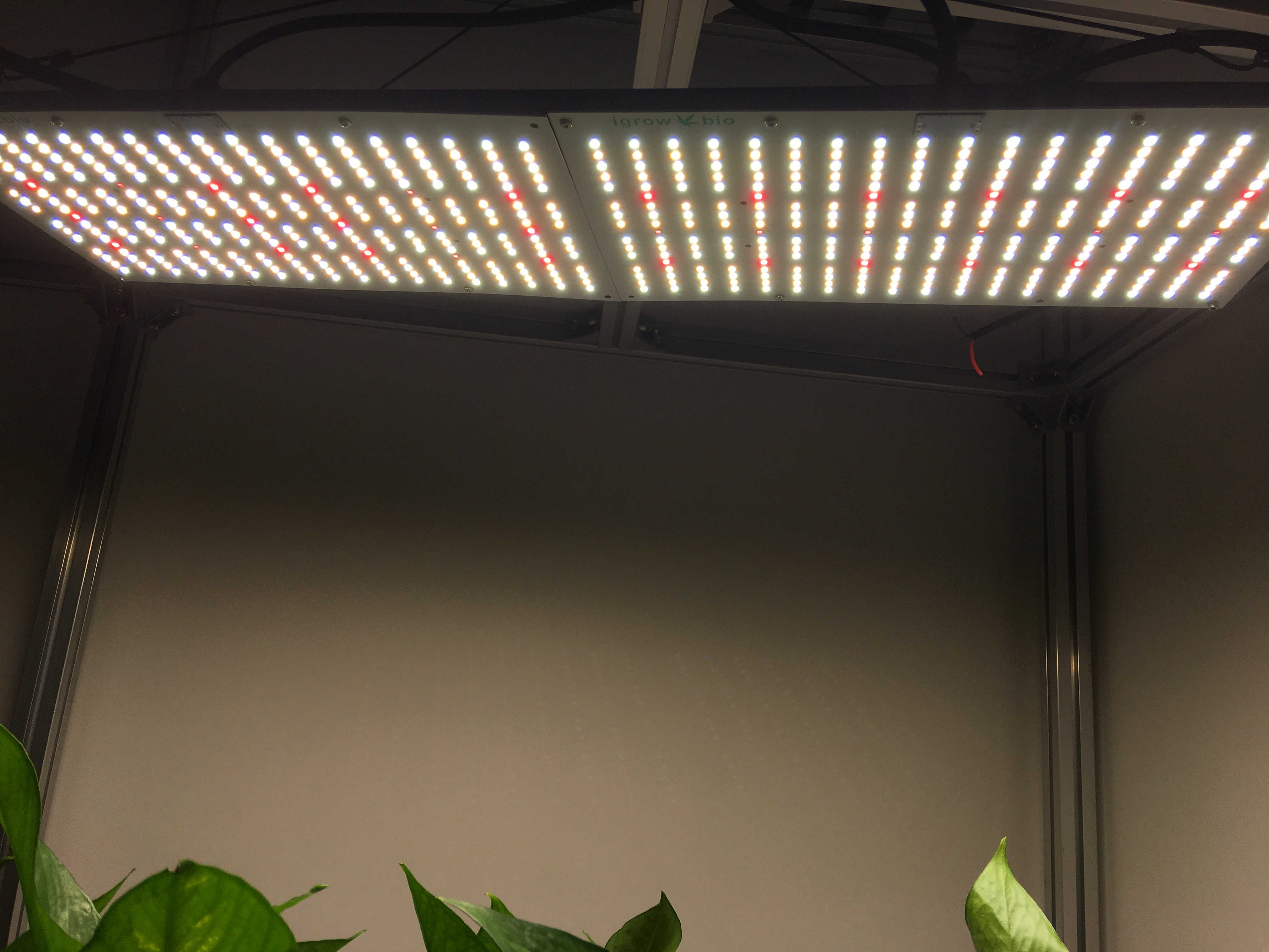 Ultraviolet 240W Samsung LM301B Quantum Board Grow Light