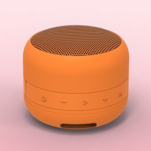 IPX7 Waterproof Portable Bluetooth Speaker with 12 Hours Playtime