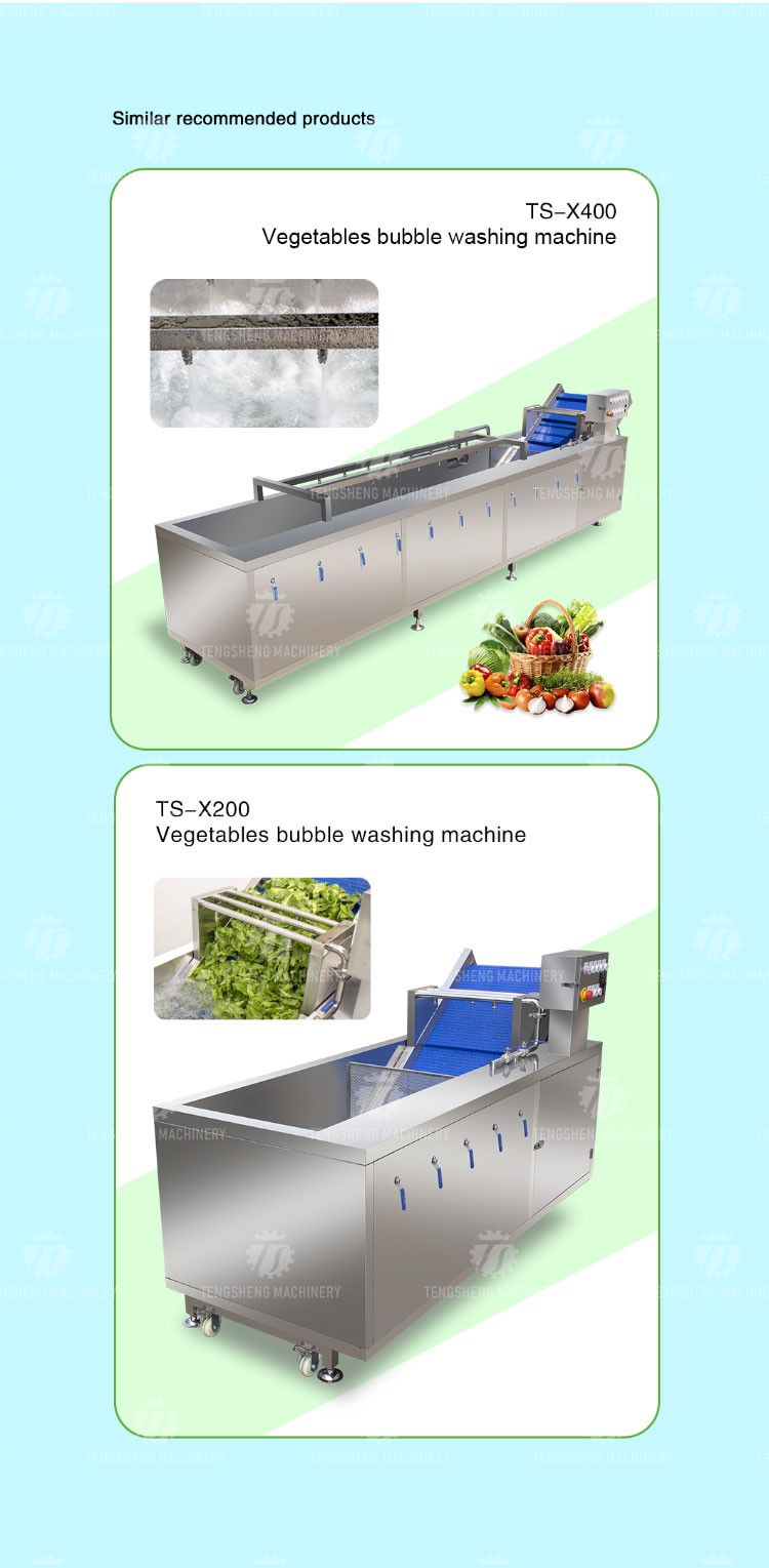 240KG SUS 304 Vegetable And Fruit Washing Machine Orange Cleaning Machine