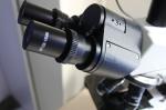 Cheapest Portable Binocular Biological Microscope with Camera