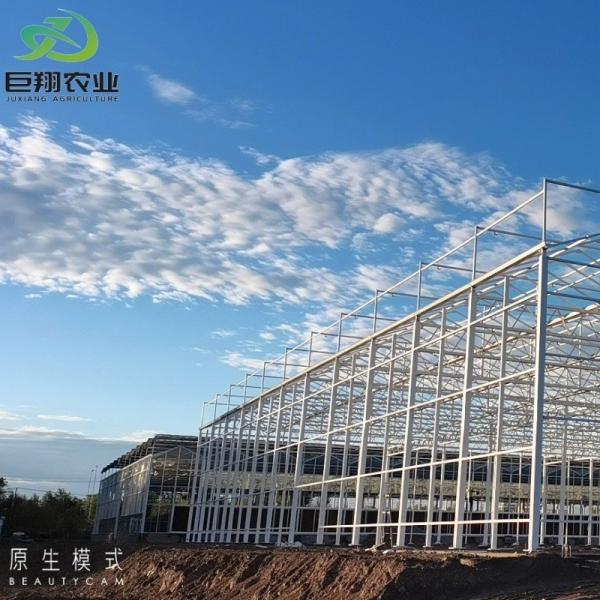 Arched Roof Double Layer Film Blackout Mushroom Greenhouse for Medical Plants
