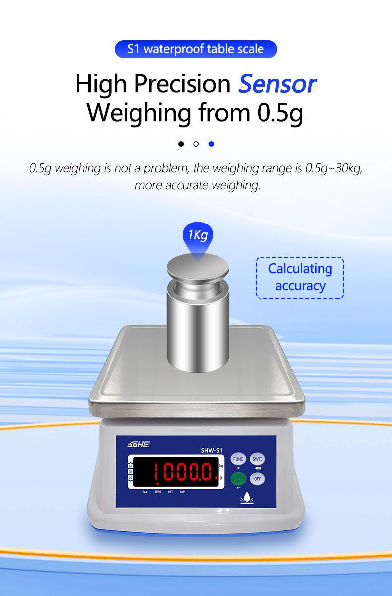 AC/DC Power Supply SOHE A1S Waterproof Scale IP68 3KG with Stainless Steel Design