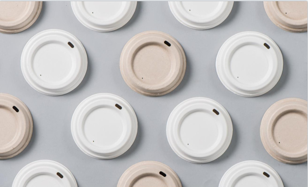 Biodegradable Pulp Molded Cup Lid Machine