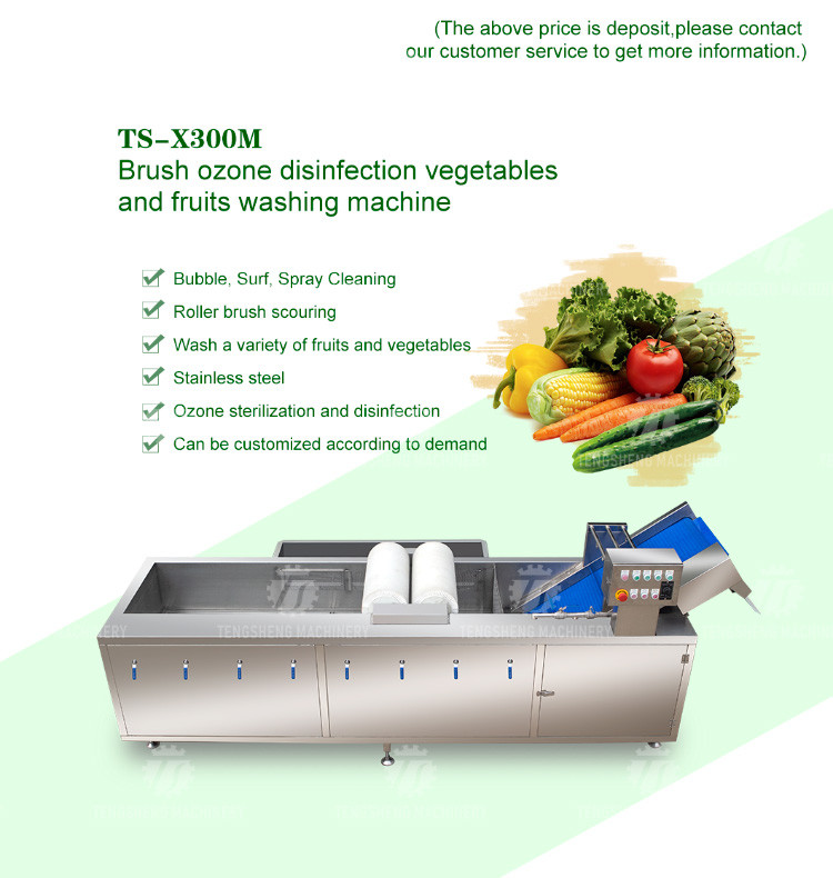 250KG The manufacturer provides a reversible air dryer for fruit ozone disinfection and fruit washing machine