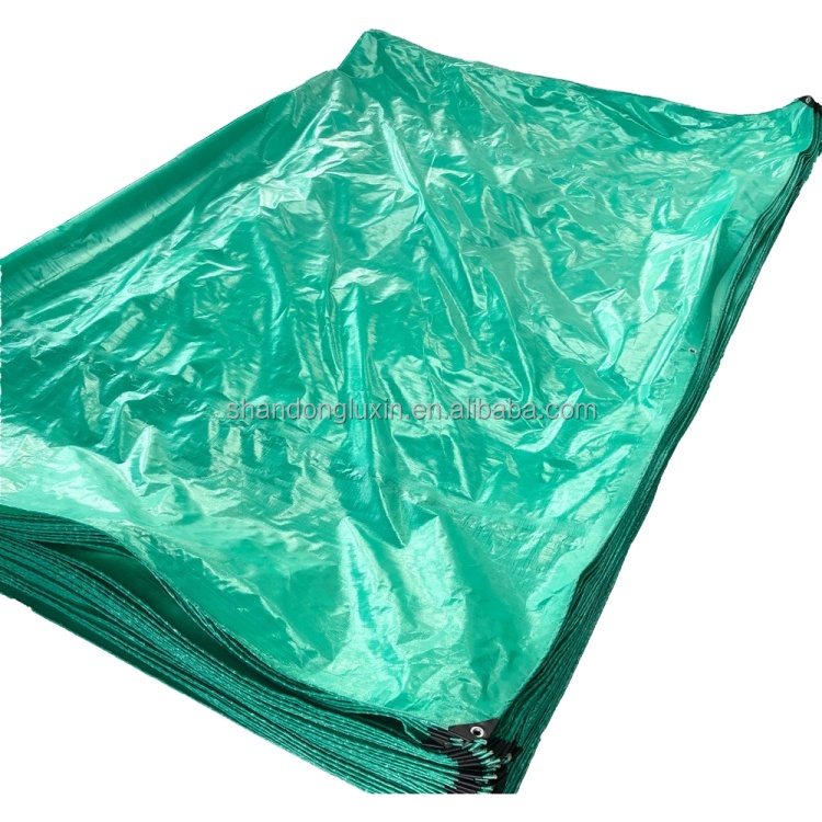 Printed Double Faced Pe Tarpaulin Trucking Covering Tarpaulin Roll Pvc Pe Tarpaulin
