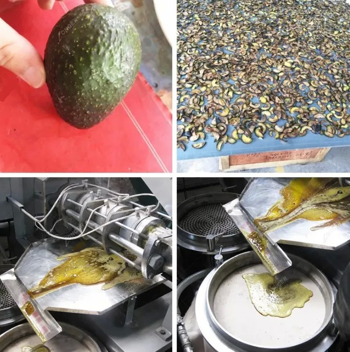 Automatic Mini Oil Press Machine Commercial Groundnut Oil Production Machine