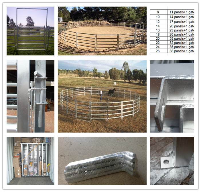 Steel 10ft Tall Horse Round Yard Panels With Powder Coated