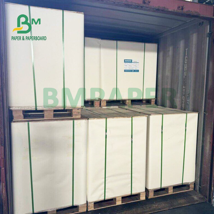 275g + 15g PE Coated Frozen Food Grade Paper For Seafood Package 740 x 1060mm