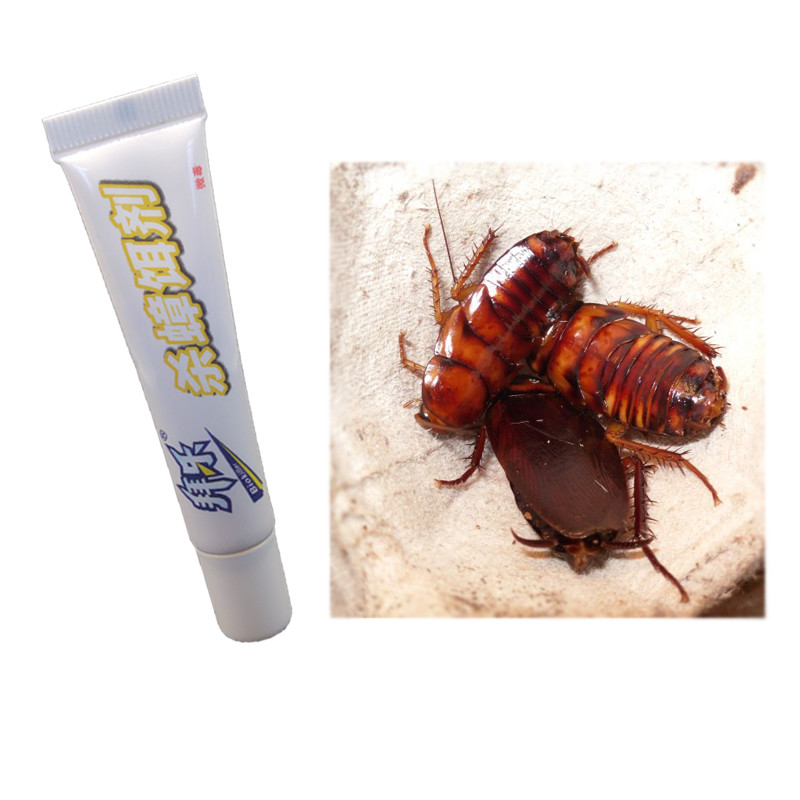 ODM Blackbeetle Bait Gel no Chemicals Pure Biological Ingredient Cockroach Bait Gel PfDNV 6000 PIB/G