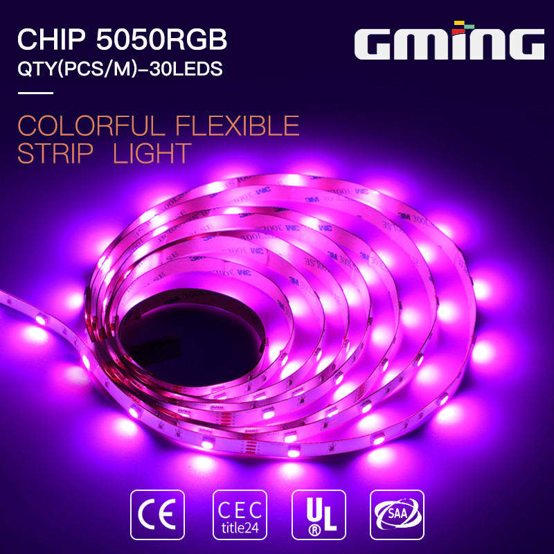IP20 IP65 IP67 IP68 waterproof high quality led strip DC12V/24V 30 leds 5050 RGBW LED strip outdoor display