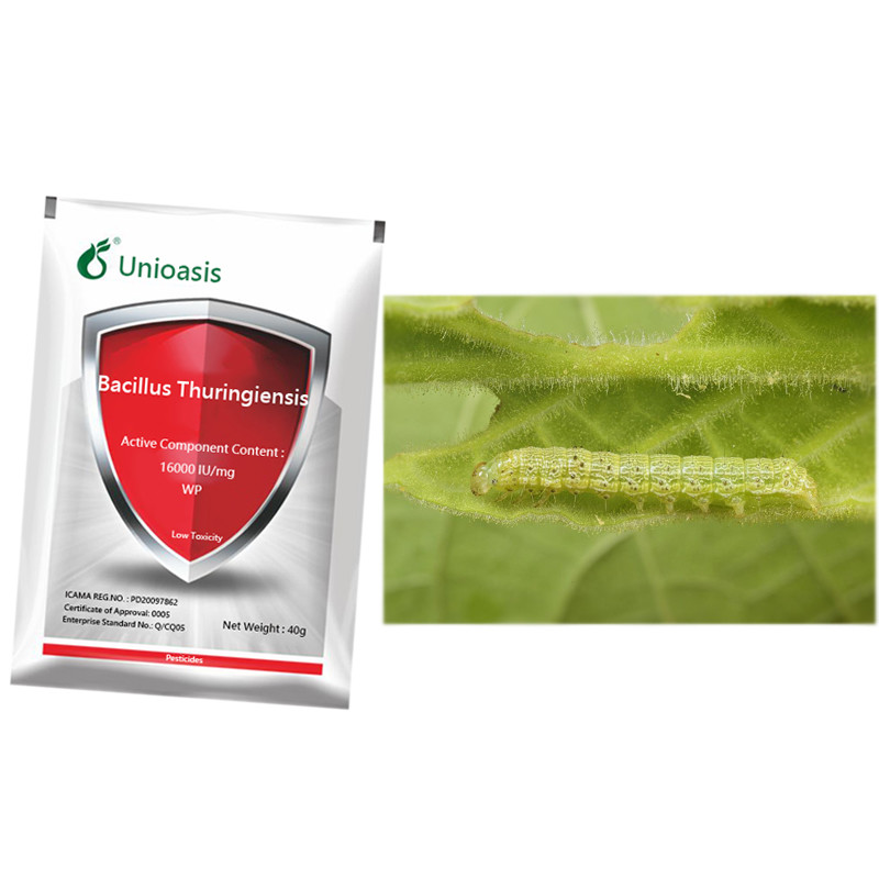 Bacterial Bacillus Thuringiensis Tea Tree Insecticide For Killing Nematode Lepidoptera