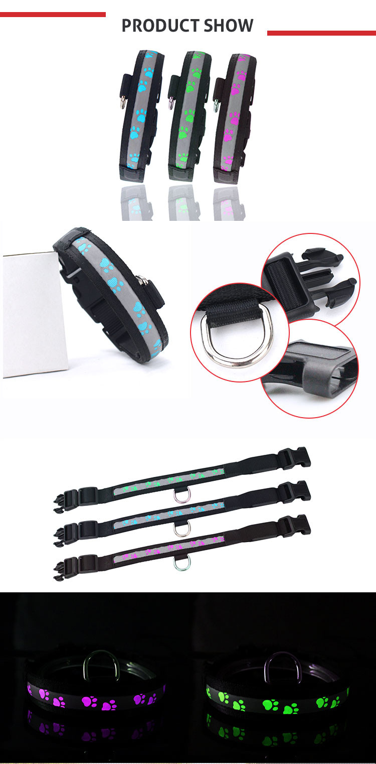 Outdoor Walking LED Dog Collar Waterproof Glow In The Dark Dog Collar
