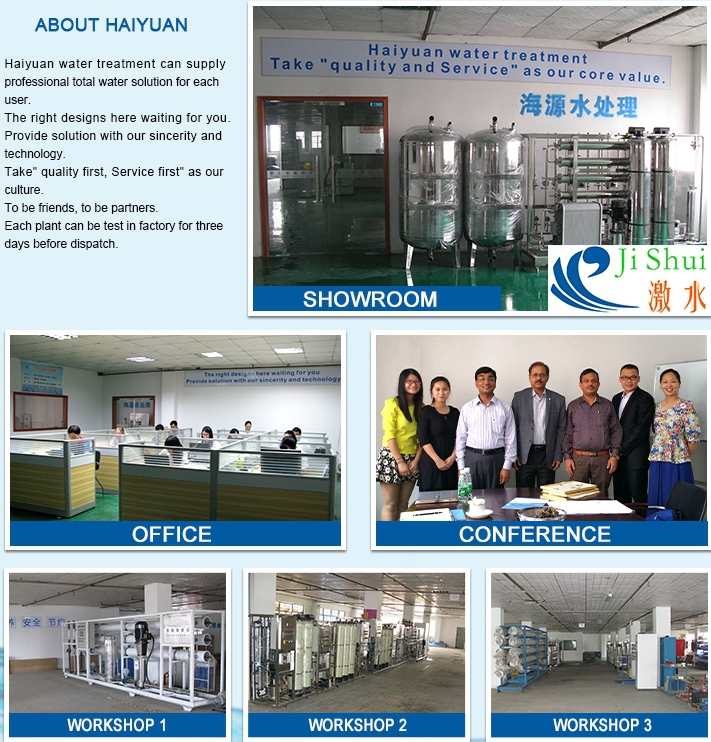 Electrodeionization EDI Water Treatment System 1000L/Hour UPVC Material