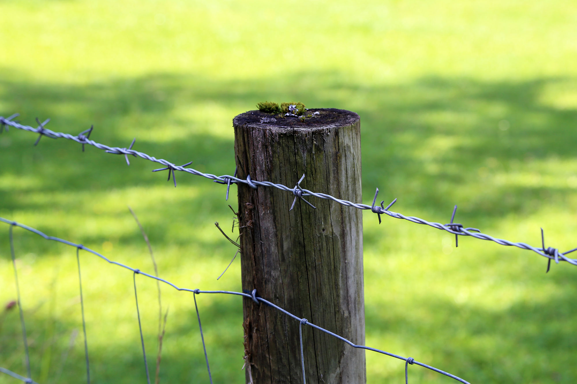 Protecting Mesh 500m Electric Hot Dipped Galvanized Barbed Wire with Electro Galvanized