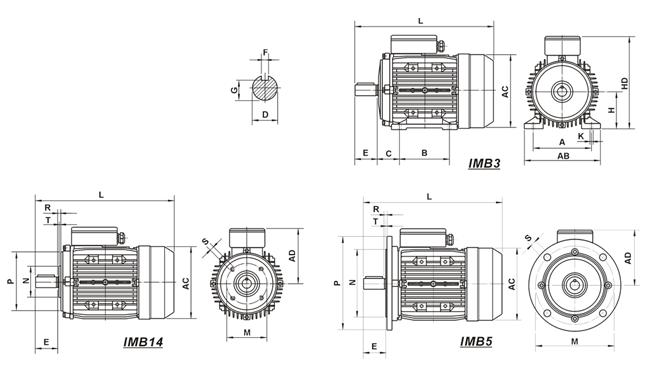 SINGLE-PHASE INDUCTION MOTOR