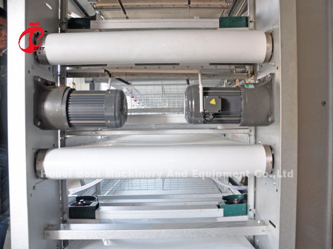 BEST Galvanized Automatic H Type Chicken Farm Broiler Cage System Adela