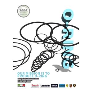  CS3 O Ring Seal Kit Manufactures