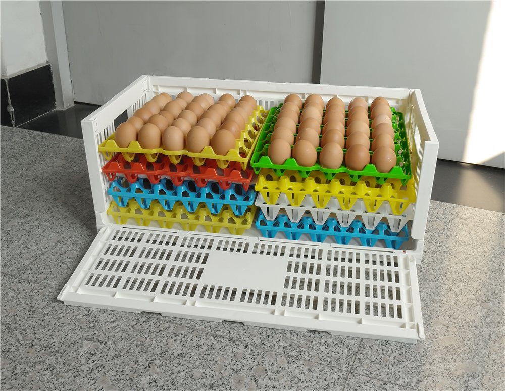 Foldable Mesh Crates and Egg Plastic Boxes for Convenient Egg Transportation