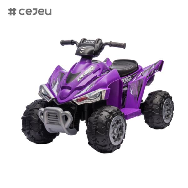 CJ-CH9917A,12V7AH*1/35W*2 Forward/Backward Front light Horn/Purple Red Blue Pink