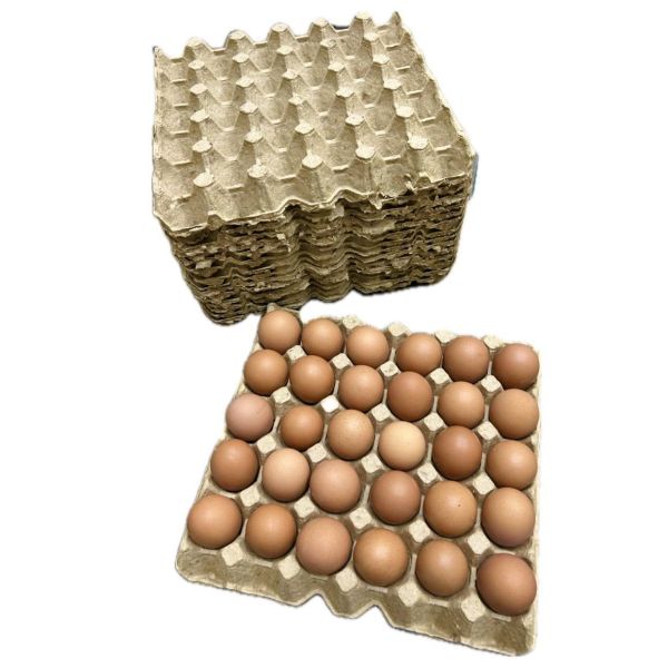 Quality Pack Egg Cartons Crates Bulk 30 Cell Pulp Fiber Egg Flats Reusable Stackable Cardboard Tray For Home Storing Packing Roach Colony Soundproofing for sale