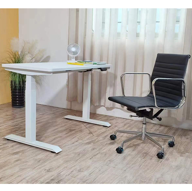 Adjustable Height Kid Computer Study Standing Table with Dual Motor in Custom Design