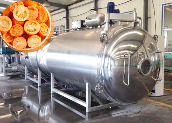 Electric Heating Vacuum Freeze Drying Machine 100kg/Batch