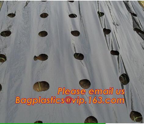 Agricultural Perforated Biodegradable Mulch Film Mulch Film Gardening Farming