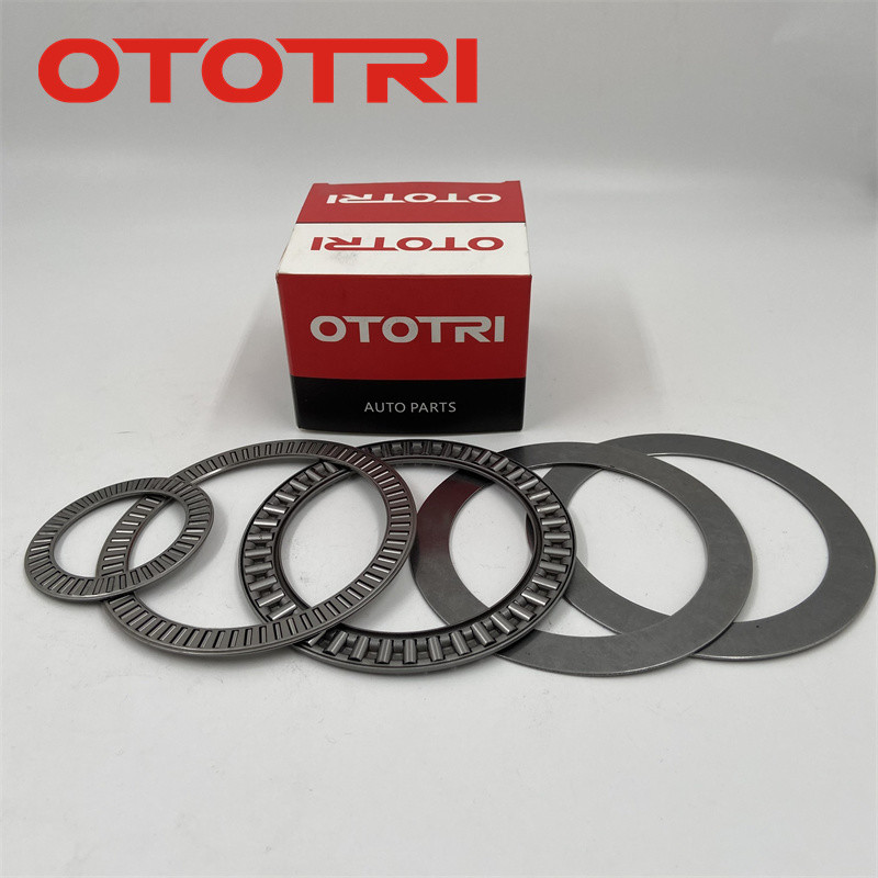OEM Brand INA Needle Roller Bearing Nylon Cage