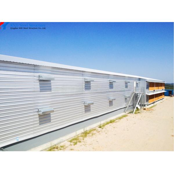 Quality Customized Automatic Steel Structure Poultry Farming House for Broilers for sale