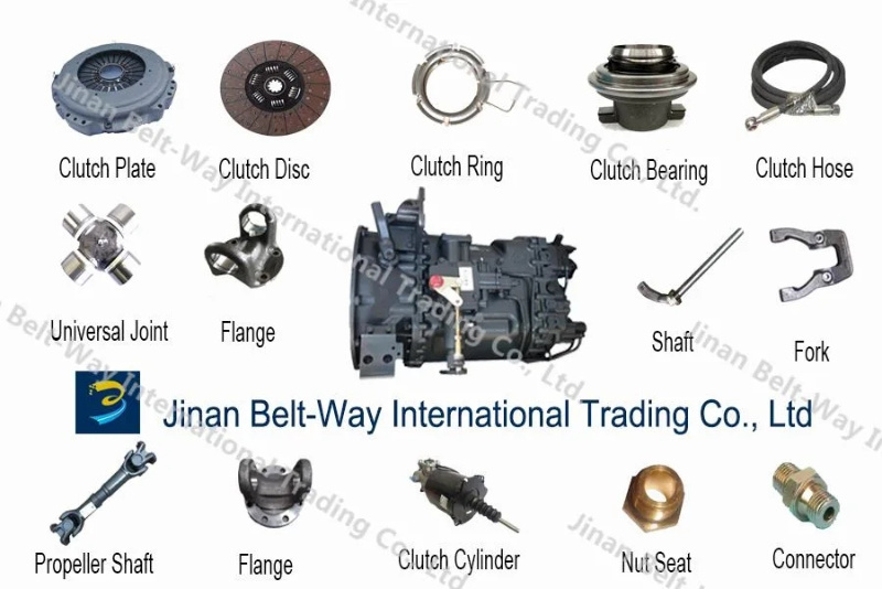 Shaanxi Shacman Truck Spare Part Front Wheel Hub Bearing 81934200074