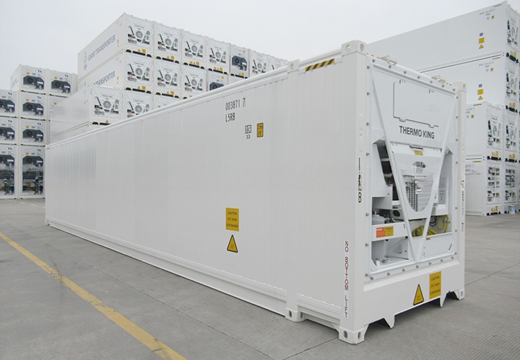 13114 x 2274 x 2554 mm Internal Dimensions 45ft High Cube Thermo King Refrigerator Freezer Cold Room with BV Certificate
