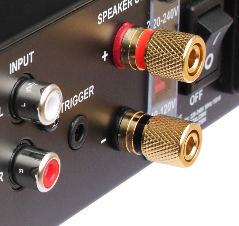 Mini Mono Subwoofer Amplifier Class D Solid Integrated Power Amplifier 100W For Home Theater
