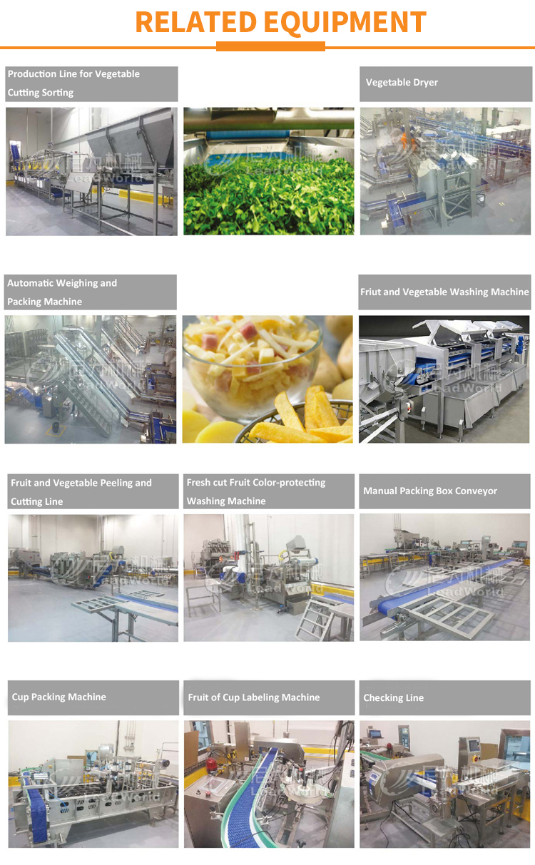 Leafy Vegetables And Fruits Cleaning Lettuce Washer Potatoes Washing Machine
