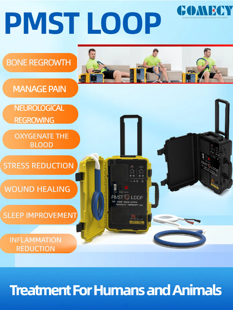 Physical Therapy Machines PMST LOOP PEMF For Human Body Pain Relief Magneto Therapy Device
