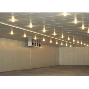 Processing Station Modular Cold Storage Room With Compressor