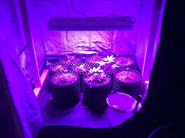 ES-150x3W-3GP 11 band full spectrum led grow panel LED Grow Light Full Spectrum