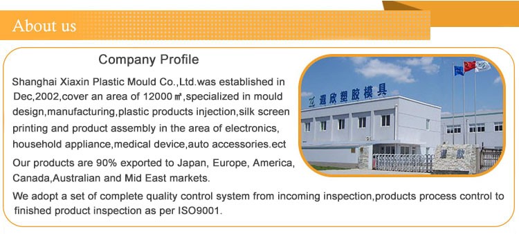PET PMMA Syringe Mold Injection Molding Medical Parts