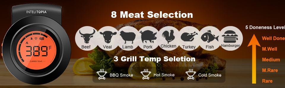 Electronic HyperBBQ Household Bluetooth Cooking Food Thermometer With Three Probes