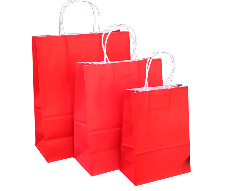 Recyclable Kraft Paper Bags With Handles Offset Printing Simple Design